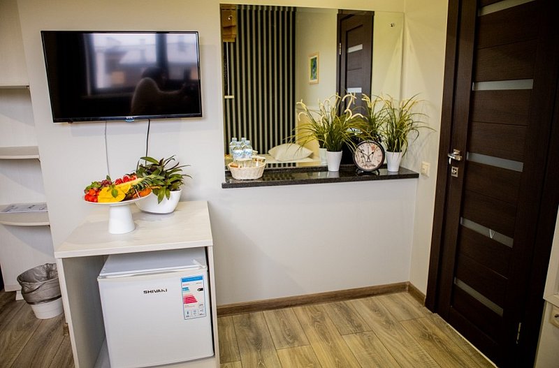 Эконом mini 2-местный Стандартный (TWIN)