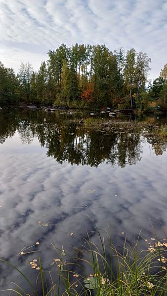 Фото 1 из отзыва о гостевом доме Беличье