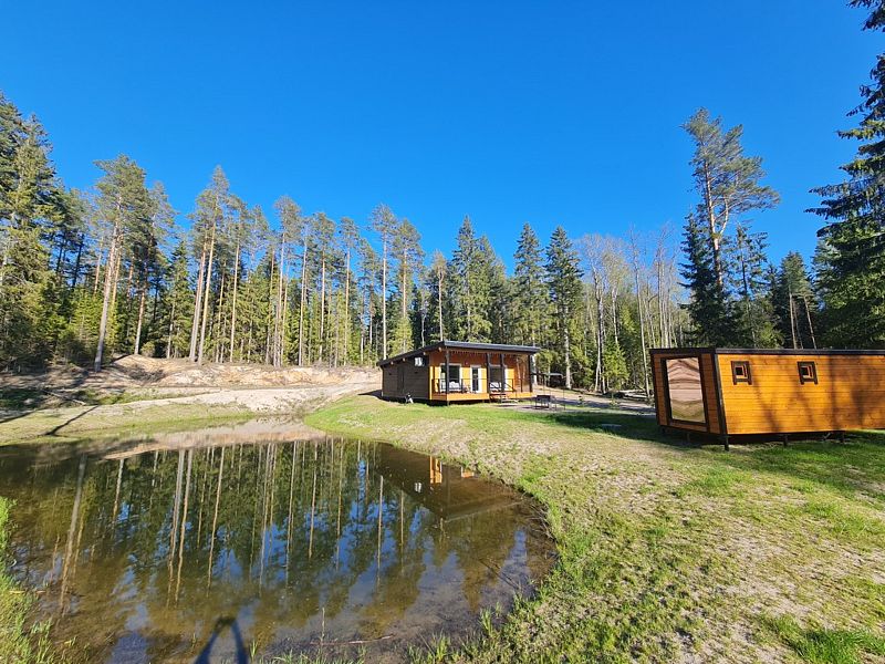 Tammiko, Ленинградская область: фото 2