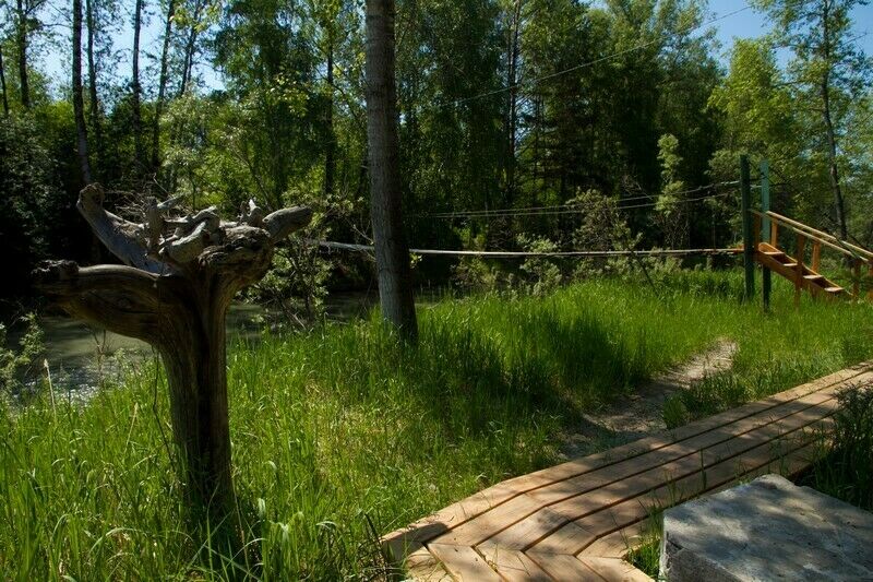 Мост | Зелёный остров, Алтайский край