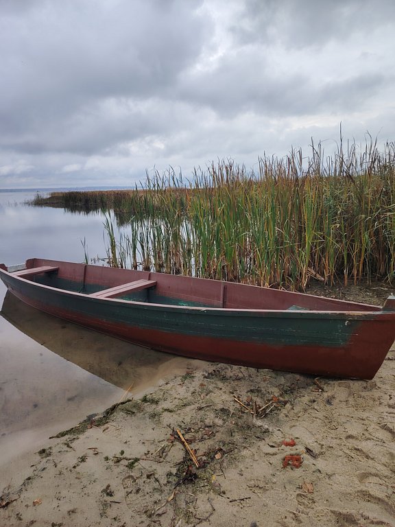 Фото из отзыва от 04.10.2024