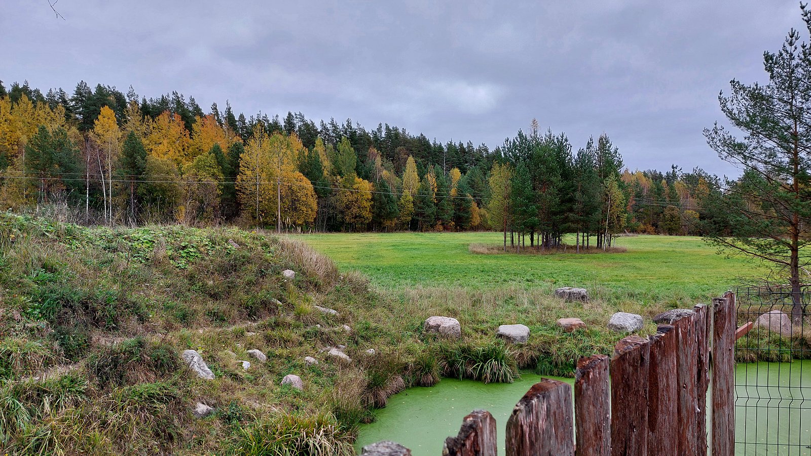 Фото 18 из отзыва об эко-комплексе Эко-хутор Ряйсяля