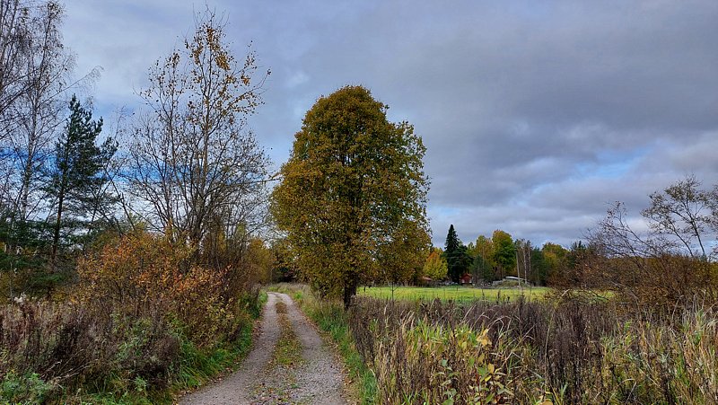 Фото 6 из отзыва об эко-комплексе Эко-хутор Ряйсяля