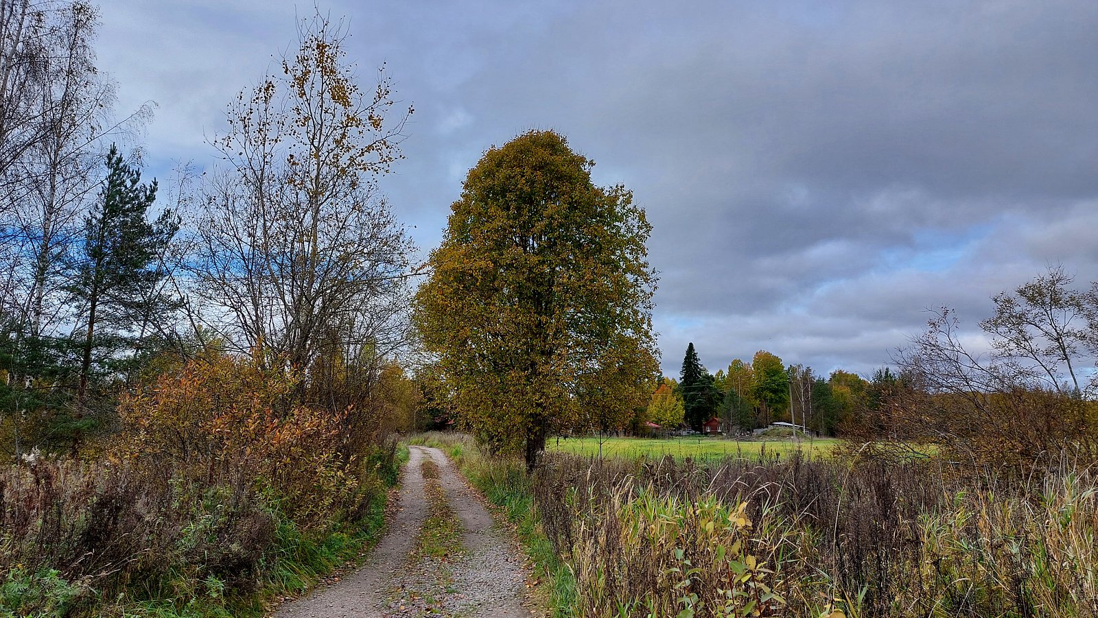 Фото 20 из отзыва об эко-комплексе Эко-хутор Ряйсяля