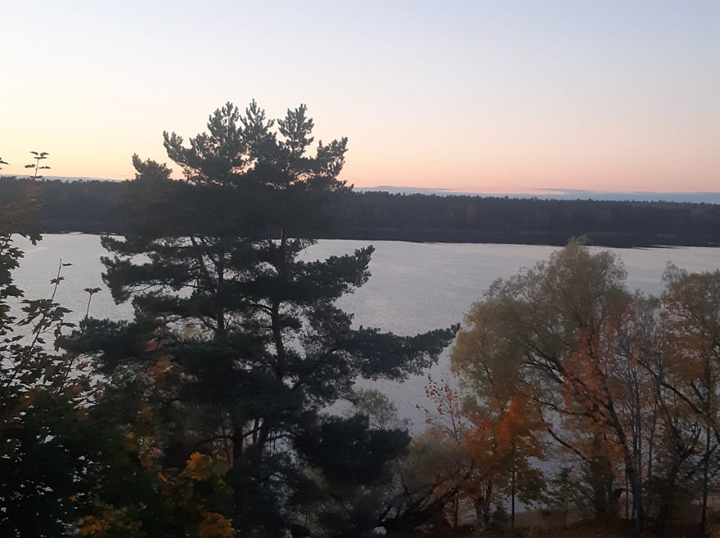 Фото из отзыва от 01.10.2024