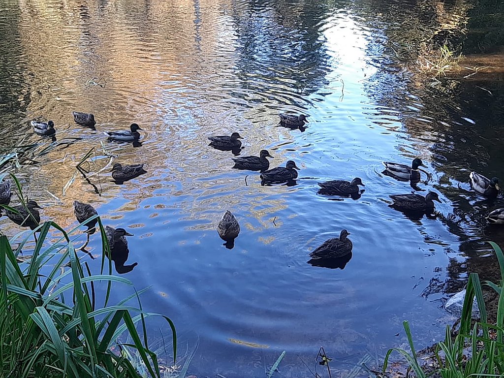 Фото из отзыва от 01.10.2024