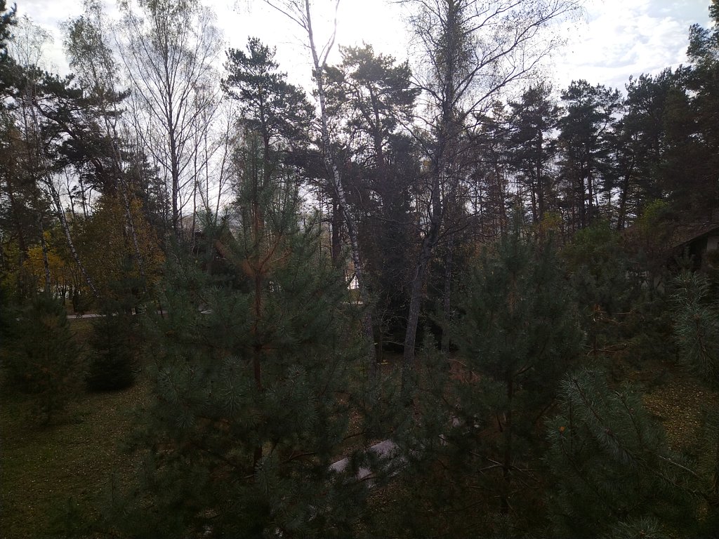 Фото из отзыва от 11.10.2024