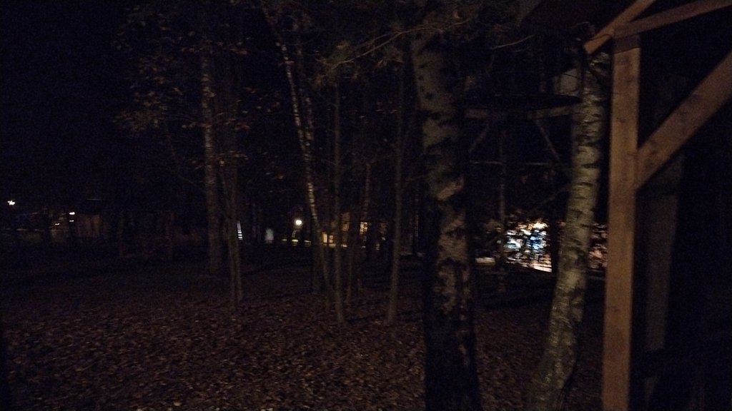 Фото из отзыва от 11.10.2024