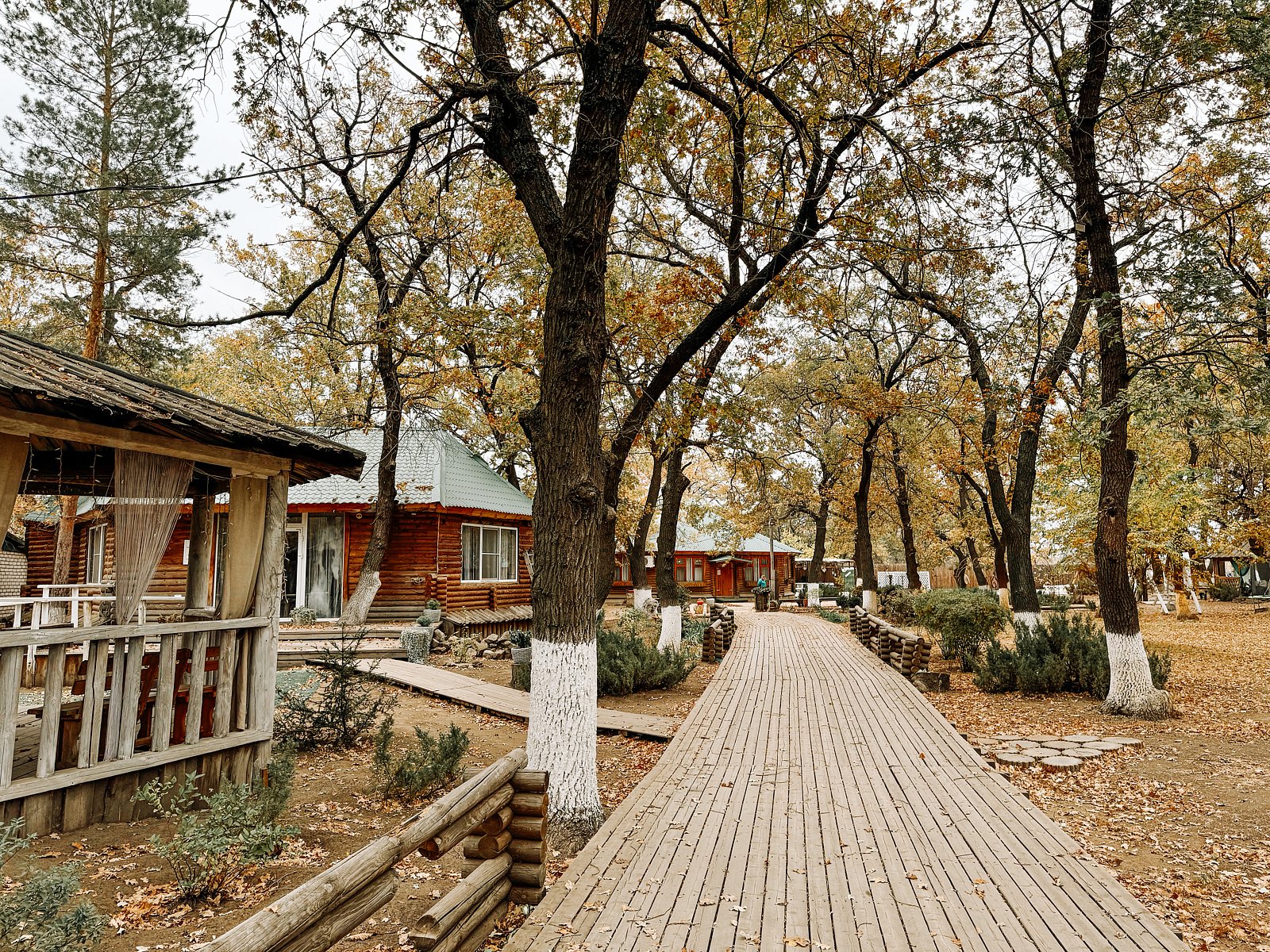 Фото 4 из отзыва о базе отдыха Рублевка