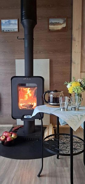 в Вязах, Ленинградская область: фото 4