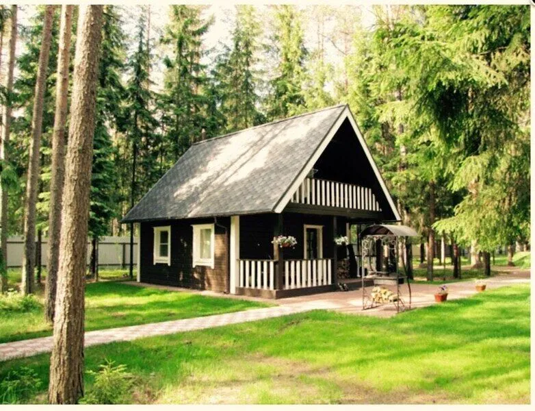 Лесная Обитель, Ленинградская область: фото 4