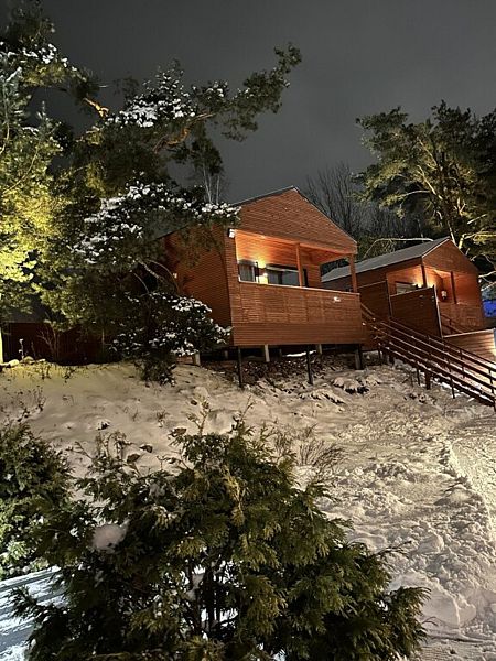 Дом-студия Fox nose, Ленинградская область: фото 4