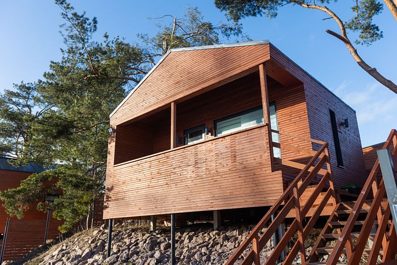 Дом-студия Fox nose, Ленинградская область: фото 3