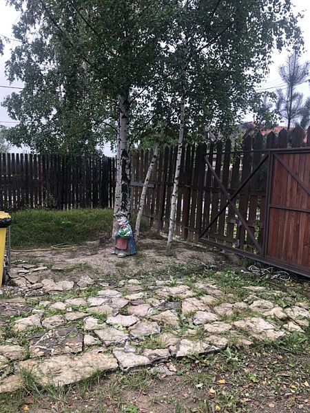 Волна, Ленинградская область: фото 4