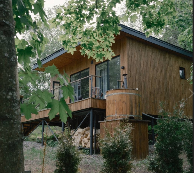 Лесной восход, Ленинградская область: фото 2