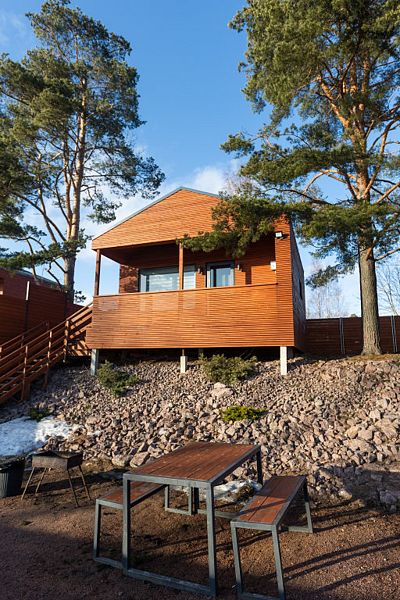 Дом-студия Forest deer, Ленинградская область: фото 2