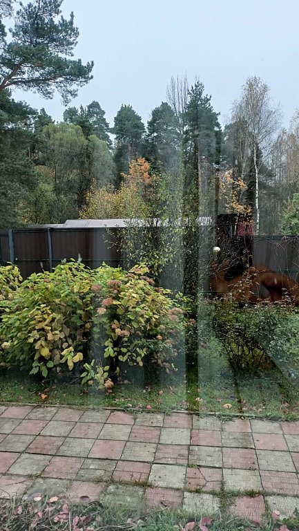 Фото из отзыва от 14.10.2024