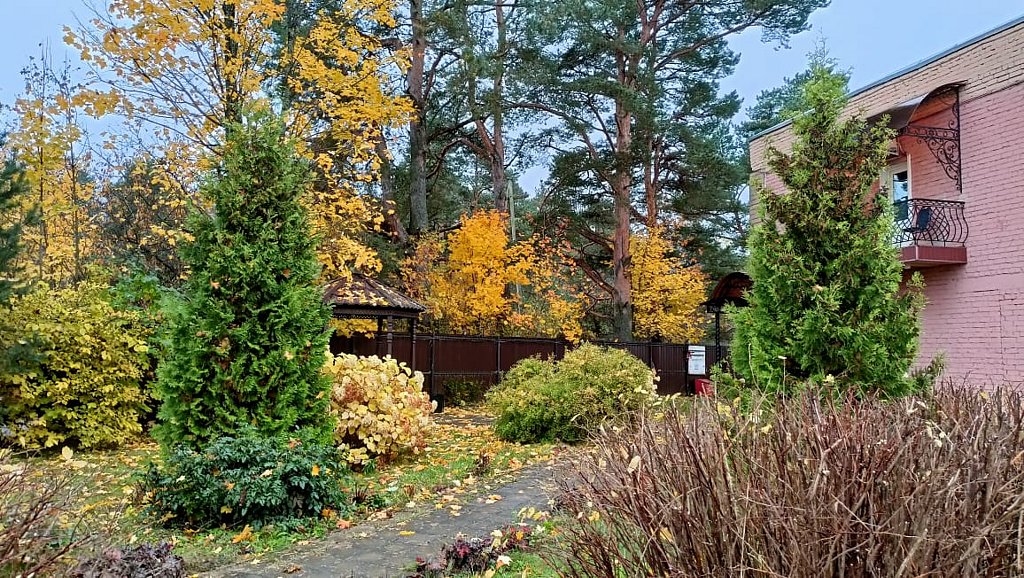 Фото из отзыва от 14.10.2024