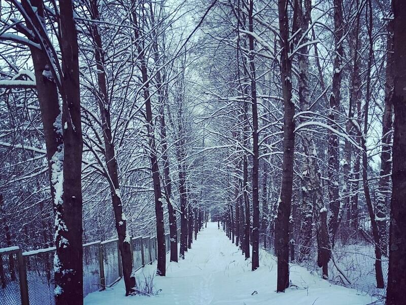 Мечта, Гродненская область: фото 4