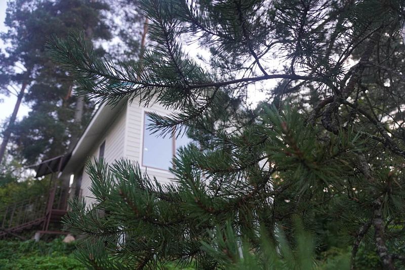 Для семьи, Ленинградская область: фото 2