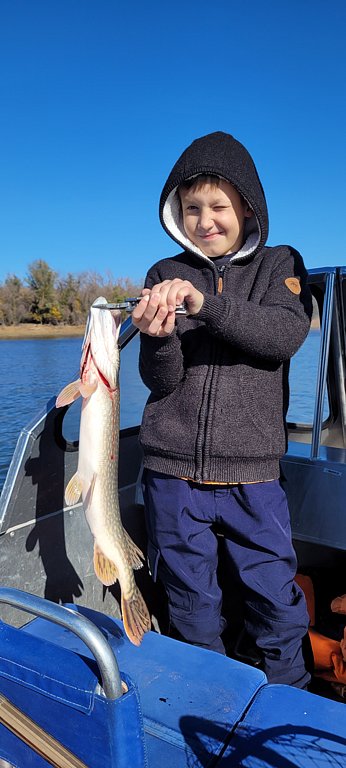 Фото из отзыва от 09.10.2024