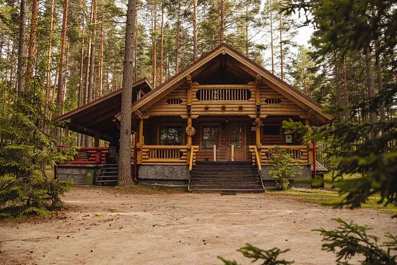 Дача, Ленинградская область: фото 5