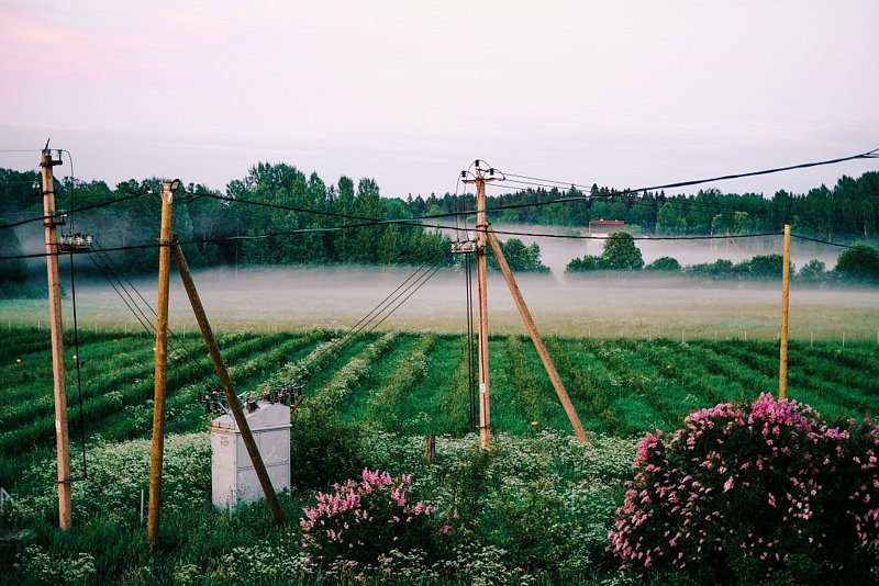 Vilajoki Agro, Ленинградская область: фото 2