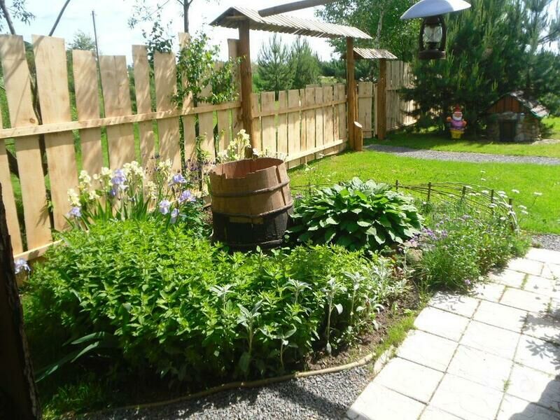 Бобровая долина, Гродненская область: фото 4