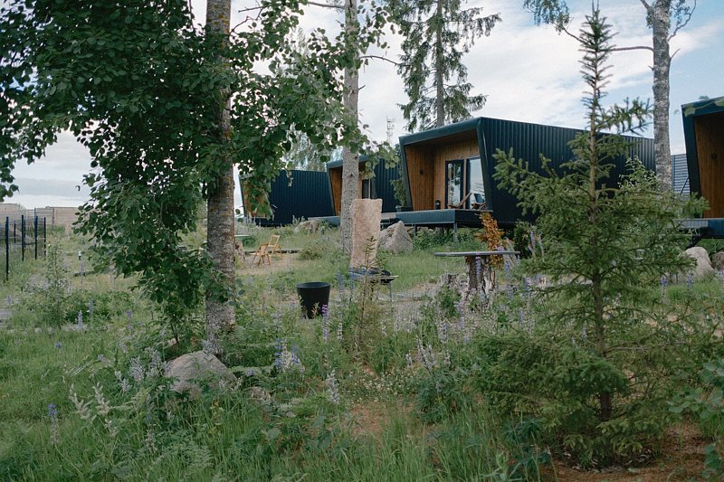 Лесной восход, Ленинградская область: фото 4