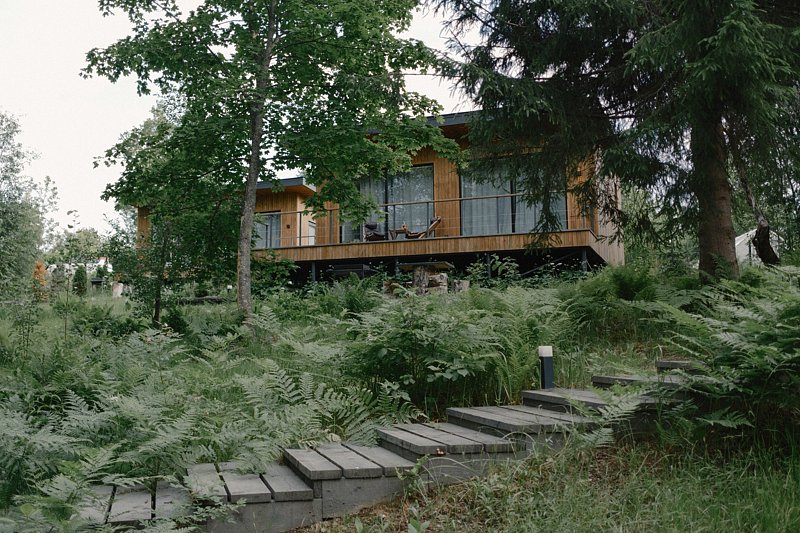 Лесной восход, Ленинградская область: фото 5