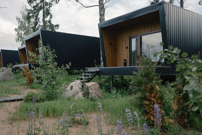 Лесной восход, Ленинградская область: фото 3