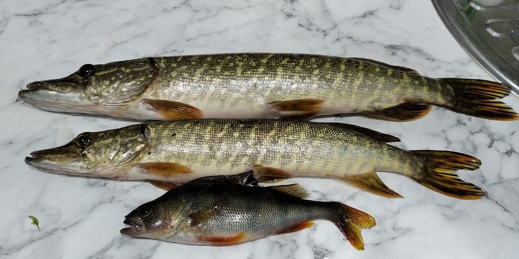 Фото из отзыва от 09.10.2024