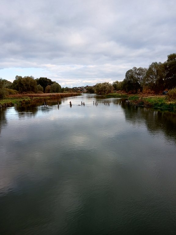 Фото из отзыва от 09.10.2024