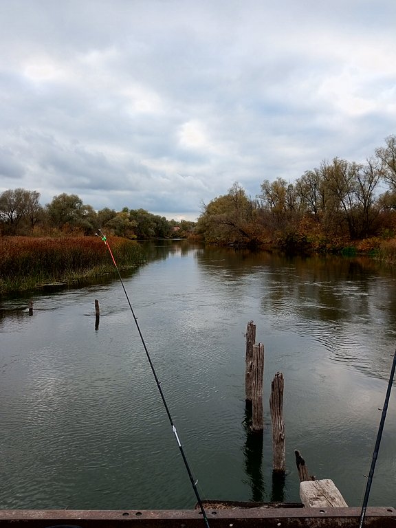 Фото из отзыва от 09.10.2024