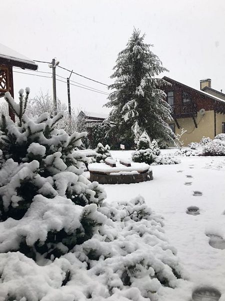 Иван да Марья, Республика Адыгея: фото 4