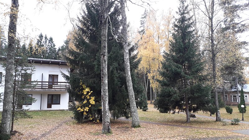 Фото 2 из отзыва о доме отдыха Архитектор