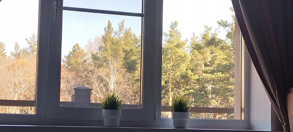 Фото из отзыва от 18.10.2024