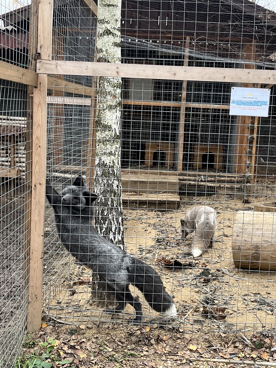 Фото 9 из отзыва о доме отдыха Боярская усадьба