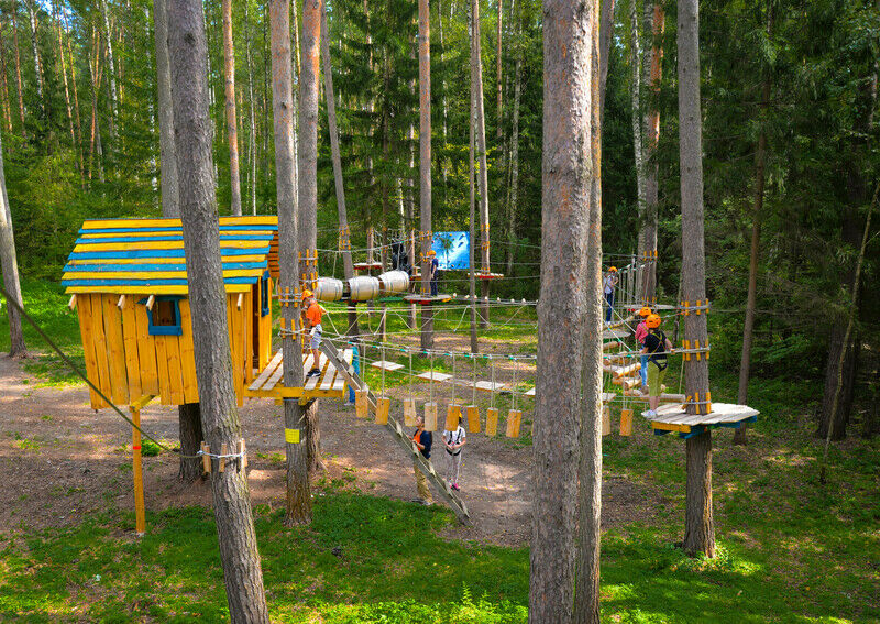 Робин Гуд, Калужская область: фото 2