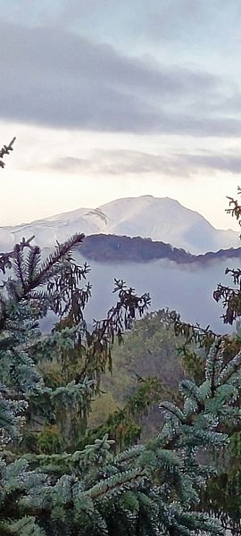 Фото 1 из отзыва о санатории Голубые ели