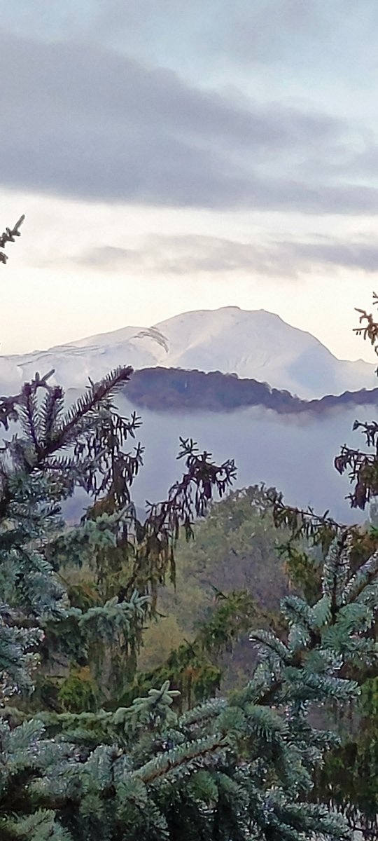 Фото 4 из отзыва о санатории Голубые ели