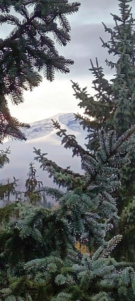 Фото 4 из отзыва о санатории Голубые ели