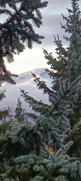 Фото 4 из отзыва о санатории Голубые ели