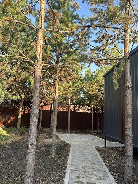 Частный дом Добрый дом в соснах, Свердловская область: фото 3