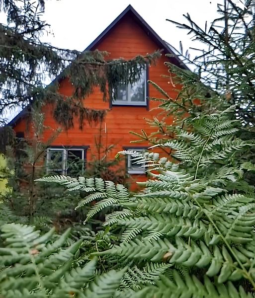 EveGreen, Тверская область: фото 3