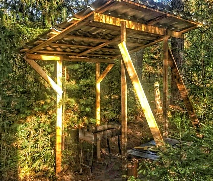 EveGreen, Тверская область: фото 4