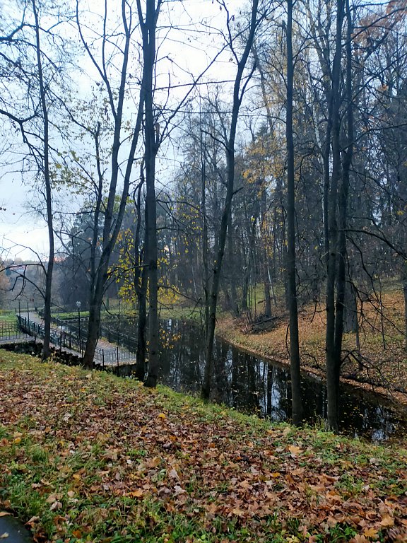 Фото из отзыва от 27.10.2024