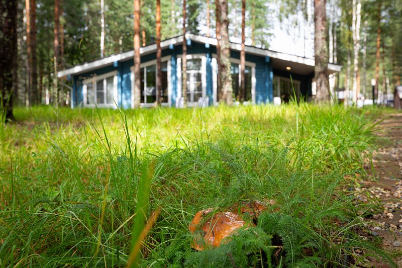 Шале 4-местный (№11 с банным чаном и террасой)35d_1050x600