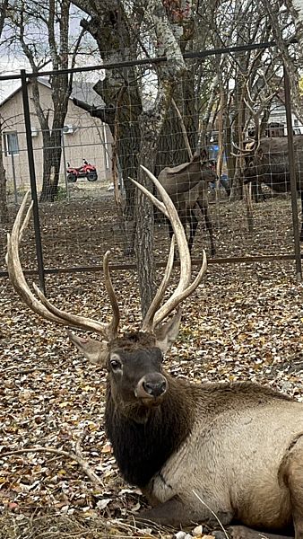 Фото 6 из отзыва о базе отдыха Донская Миля