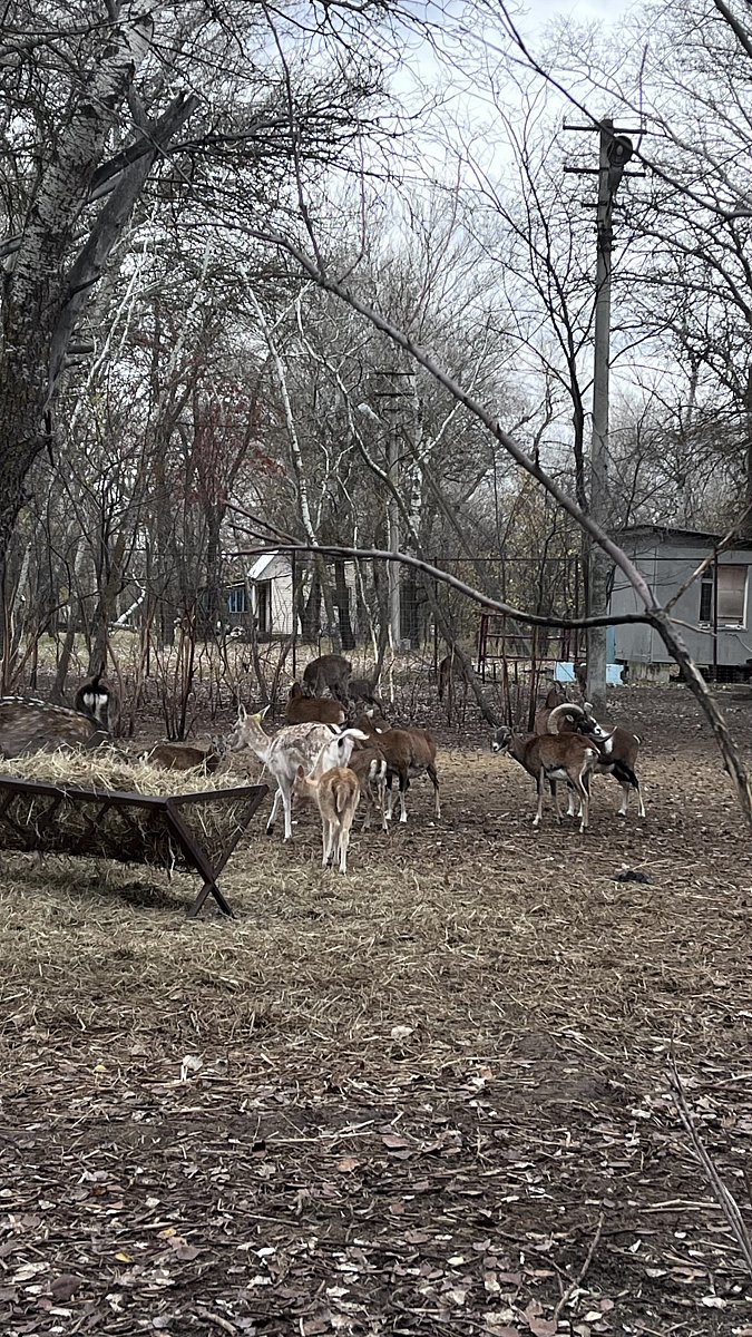 Фото 178 из отзыва о базе отдыха Донская Миля